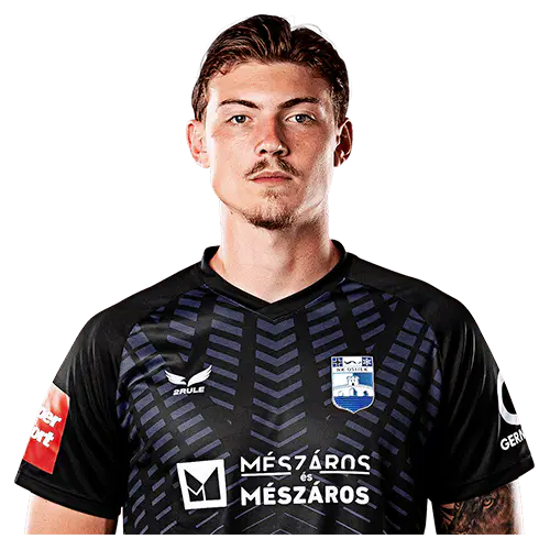 Никола Чавлина