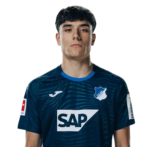 Дениц Цейтлер