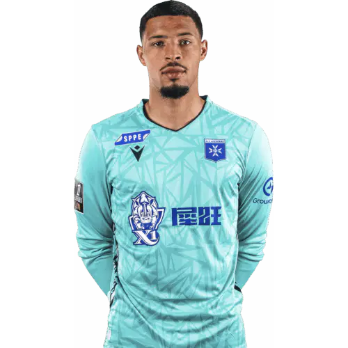 Тео Де Персен