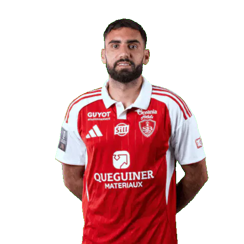 Ромен Дель Кастильо