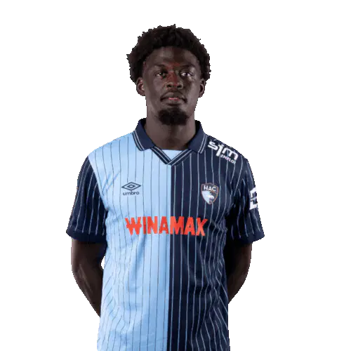 Этьен Людовик Юте Кинкуэ