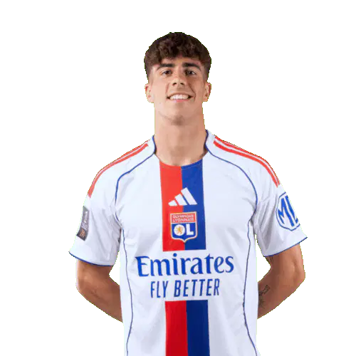 Афонсо Бастардо Морейра