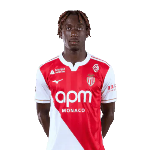 Мамаду Кулибали